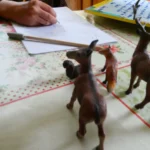 “Ko me vidiš takšnega, kot sem — glas otroka o sonaravnem odnosu”